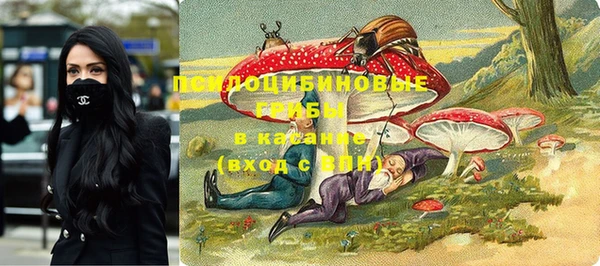 не бодяженный Алзамай