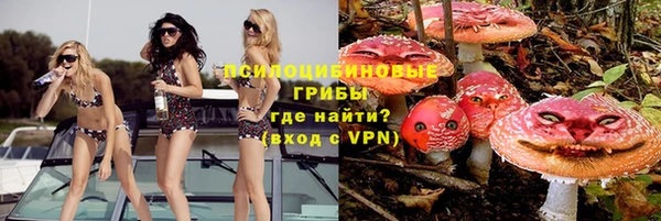 не бодяженный Алзамай