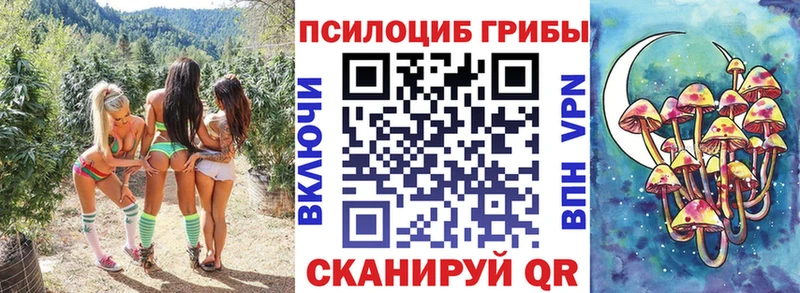 Галлюциногенные грибы мухоморы  Королёв 